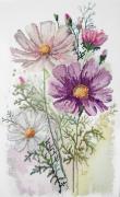 Sentire i colori