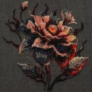 Fiore della notte