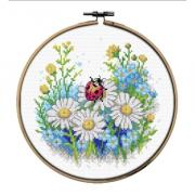 Coccinella