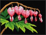 Cuore sanguinante