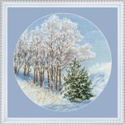 Snow-Silvered Branches