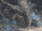 Sogni stellati