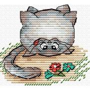 Gatto domestico