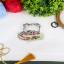 Gatto domestico