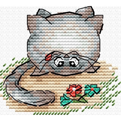 Gatto domestico