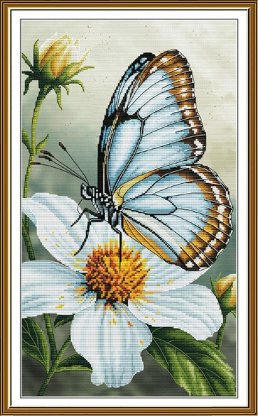 Farfalla