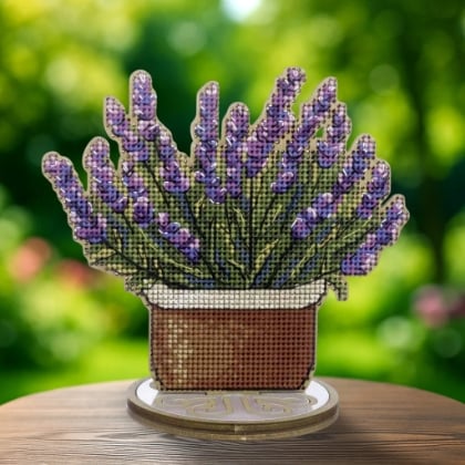 Lavanda