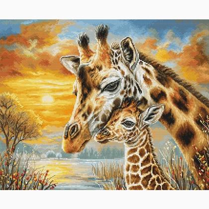 Coccole di giraffa