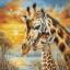 Coccole di giraffa