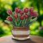 Tulipani
