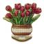 Tulipani