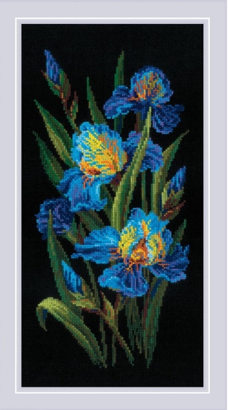 Bellissimi iris