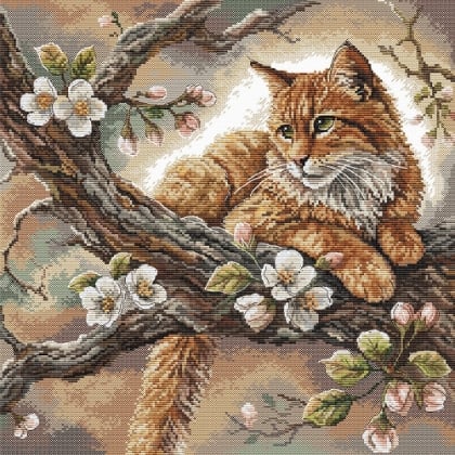 Il gatto sull\'albero di mele