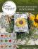 Vintage Seed Packets - Sunflower
