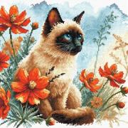 Il giardino del gatto