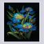 Bellissimi iris