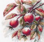 Sogni d'inverno