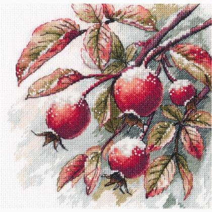 Sogni d\'inverno