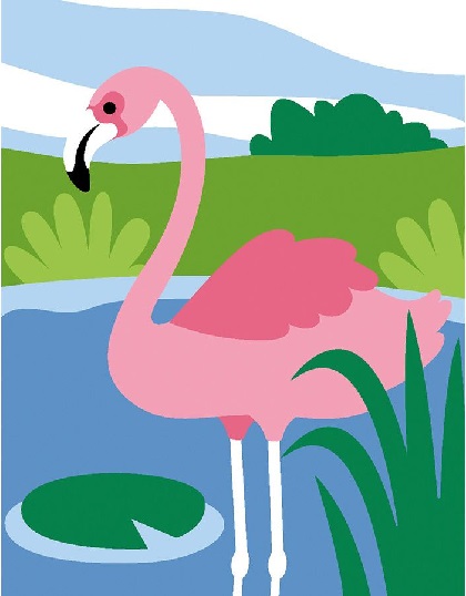 Fenicottero rosa