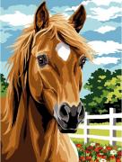 Cavallo