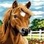 Cavallo