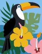 Tucano