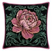 Peonia