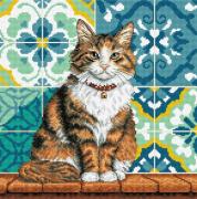 Gatto in giardino