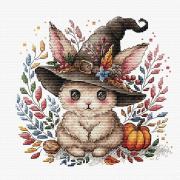 Il Coniglietto Magico in Autunno