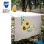 Runner - Girasoli