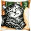 Cuscino - Gatto con un libro