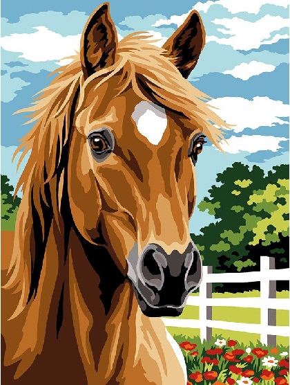 Cavallo