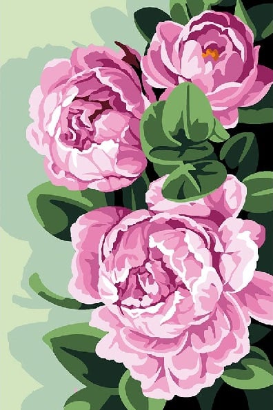Peonie
