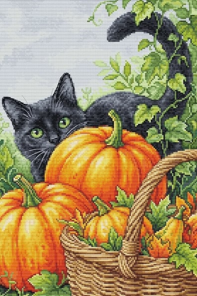 Incanto d\'ottobre