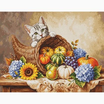Raccolto autunnale