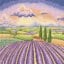 Lavender Fields
