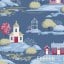 Village Blue