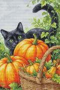 Incanto d'ottobre