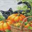 Incanto d'ottobre