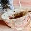 The Feather - Project Tote