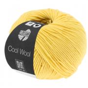Cool Wool - Vaniglia 0411