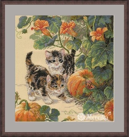 Pumpkin Patch Chase