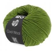 Cool Wool - Verde tiglio 0471