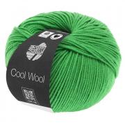 Cool Wool - Verde mela 0504