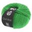 Cool Wool - Verde mela 0504