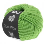 Cool Wool - Verde chiaro 0509
