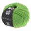 Cool Wool - Verde chiaro 0509