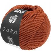 Cool Wool - Cannella 2125
