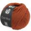 Cool Wool - Cannella 2125