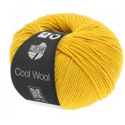 Cool Wool - Giallo oro 2005